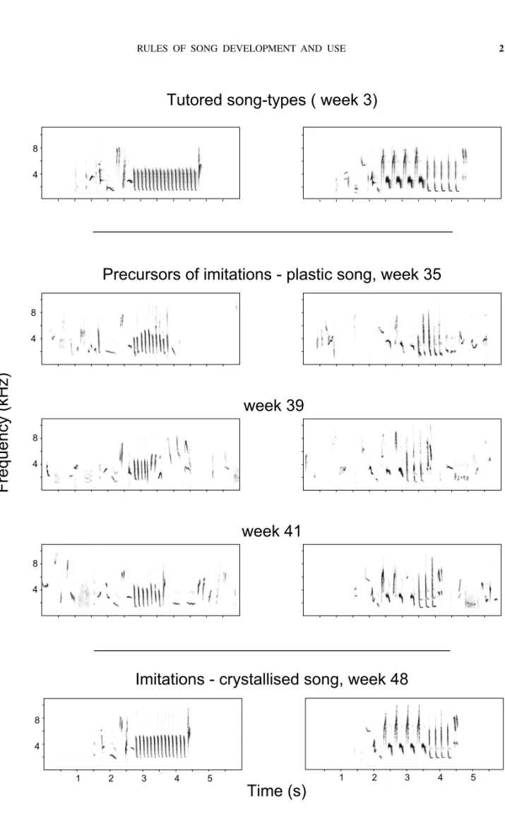 Fig. 1 – Spectrograms of two tutored nightingale song-types (top), precursors of imitations (middle) and crystallized imitations (bottom).