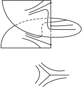 Fig. 5 – Resolution of X near the projective line.