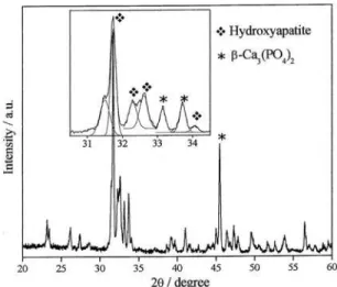 Fig. 5 – (a) Raman and (b) IR spectra of the hydroxyapatite inorganic replica.