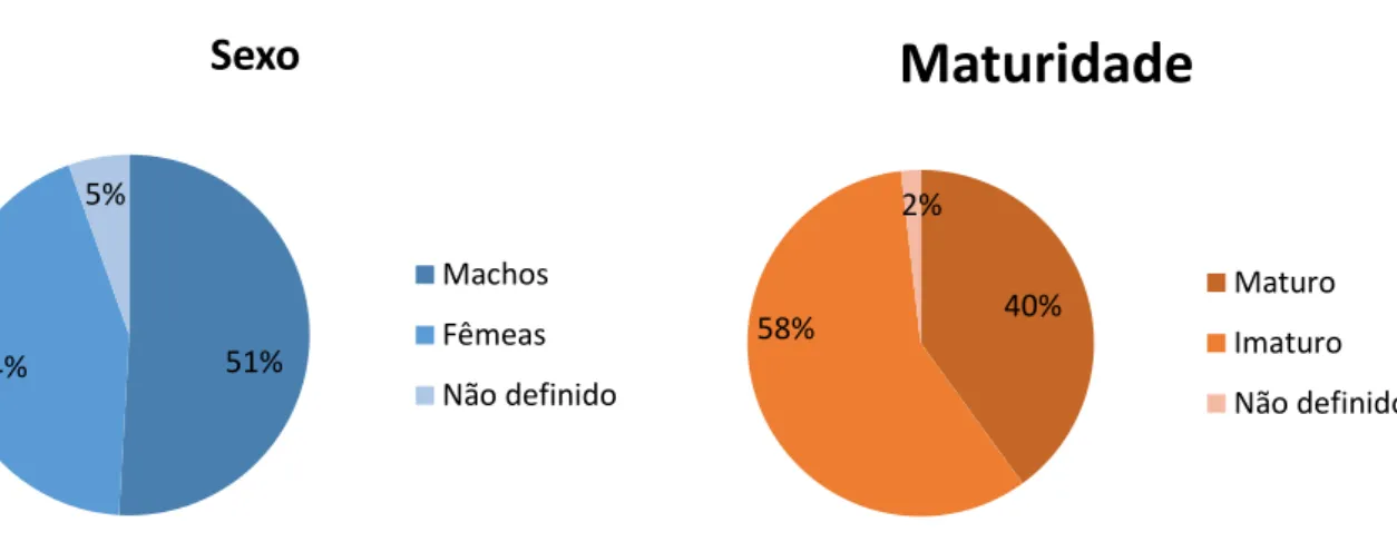 Figura 10) Percentagem de indivíduos amostrados, classificados por sexo e maturidade. 