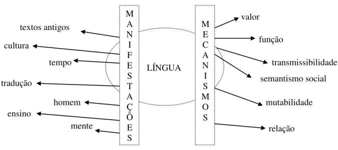 Figura 7  –  A língua, algumas de suas manifestações e mecanismos. 