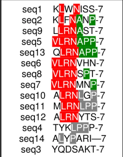 Figura 14: Alinhamento dos 14 peptídeos selecionados pelo  programa ClustalW 18.1. 