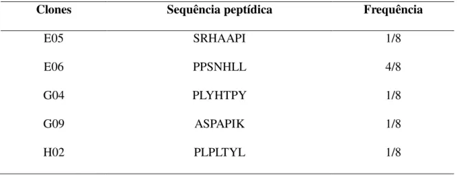 Tabela  3-  Sequências  encontradas  a  partir  dos  clones  selecionados  no  Biopanning  e  suas  respectivas freqüências