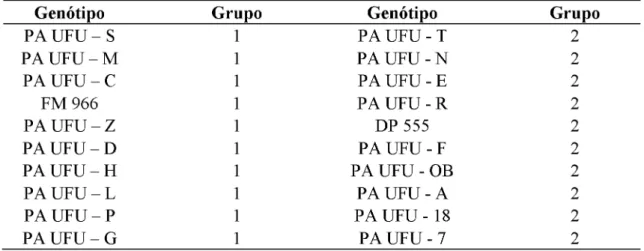 Tabela 2.  Genótipos selecionados para análises com RNA's e seus respectivos grupos de  classificação.