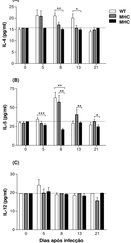 Figura 8 - Níveis de IL-4 (A), IL-5 (B) e IL- 12 (C), detectados no soro de  camundongos WT, MHC I -/- , MHC II -/- após infecção subcutânea com 3000 larvas  filarióides (L3) de S