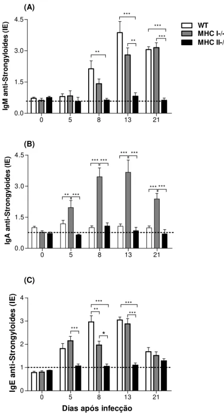 Figura 10 – Níveis de IgM (A), IgA (B) e IgE (C) anti-Strongyloides detectados no soro  de camundongos WT, MHC I -/-  e MHC II -/-  após infecção subcutânea com 3000 larvas  filarióides (L3) de S