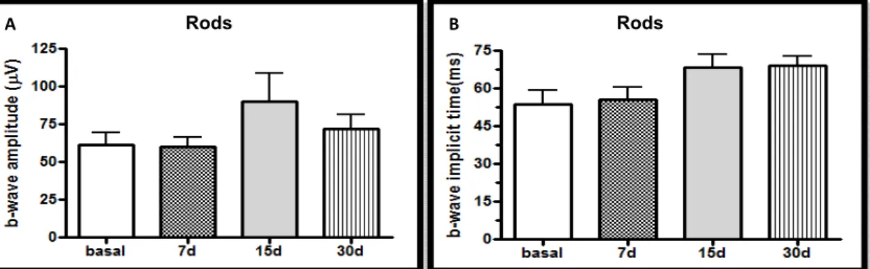 Figure 1. Amplitudes (A) and implicit times (B) of b wave, in the scotopic phase (rods), basal phase and  at days 7, 15 and 30 of the oral administration of sildenafil (3.5mg/kg), in male rabbits of the White New  Zealand breed