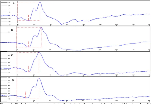 Figure 6. Flash electroretinograms, during the photopic phase (cones), basal phase (A) and on days 7 (B)  and 15 (C) of the oral administration of sildenafil (3.5mg/kg), in male rabbits of the White New Zealand  breed