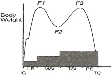 Figura  2.5 – Padrão da FRA vertical  com o contato padrão do pé  sobre o solo: LR  – aceitação do peso, MSt – médio  apoio, TSt –  término  do apoio, PS – pré-suspensão (Perry, 1992) 