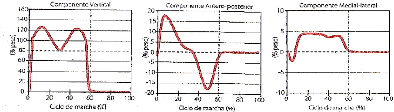 Figura  2.6 – Comportamento  da FRA  durante o ciclo do caminhar,  expressa em  % do peso do indivíduo  (Completo  e Fonseca, 2011) 
