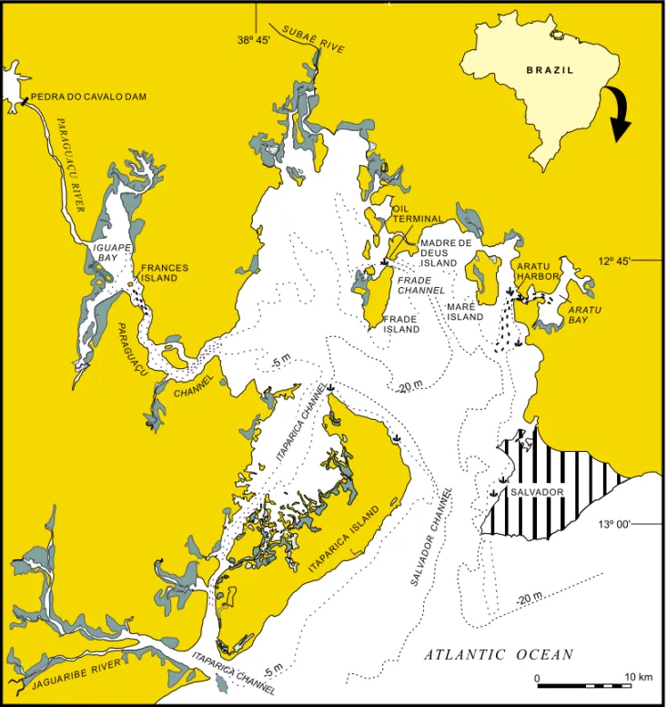 Fig. 1 – Location map of Todos os Santos Bay and general bathymetric contour. Darker areas are intertidal mangrove vegetation and small symbols locate maritime terminal facilities of various kinds.