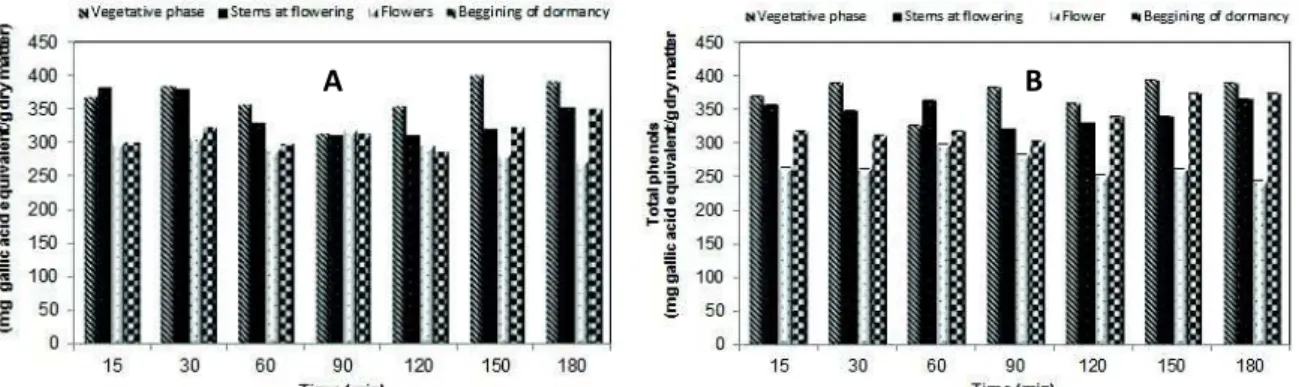 Figure 2 - Total phenols in the aqueous extract of P. tridentatum from Malcata (A) and Gardunha (B)  (Vegetative phase; Stems at flowering; Flowers; Beginning of dormancy)