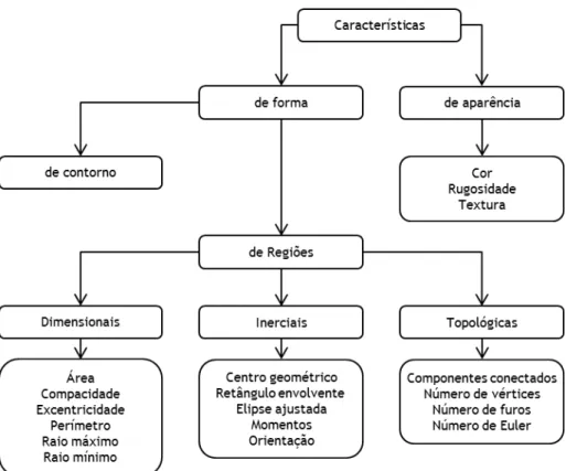 Fig. 15 – Tipos de características  Método baseado na aparência 