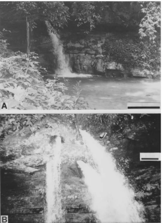 Fig. 6 – Pedra Furada Waterfall. A) The general aspects and rock of the wall repre- repre-sented by interbedded shales and basal stratified sandstones and massive sandstone in the top perforated by two sinks (dry period)