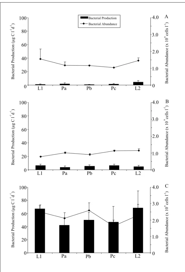 Fig. 1 – Bacterial production and abundance in samples from Cabiúnas Lagoon (A), Lake Stechlin (B) and Lake Dagow (C)