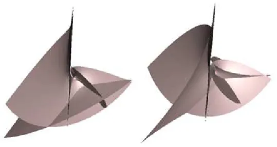 Fig. 1 – Minimal surface associated to Enneper’s surface with c = 1, A = 0, B = 1.