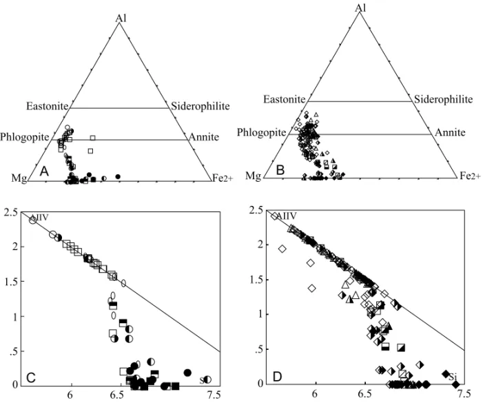 Fig. 4 – A) - Composition of phlogopites and tetraferriphlogopites from Araxá carbonatites plotted on the conventional Al-Mg-Fe 2+ diagram