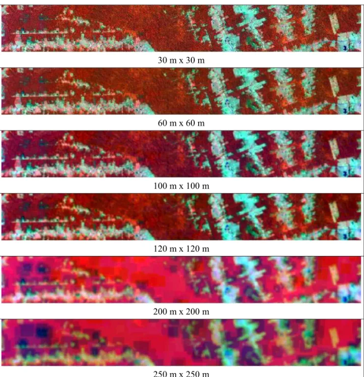 Fig. 1 – Landsat 5/TM images at different simulated levels of spatial resolution. The bands 3, 4 and 5 are depicted in blue, red and green colors, respectively.