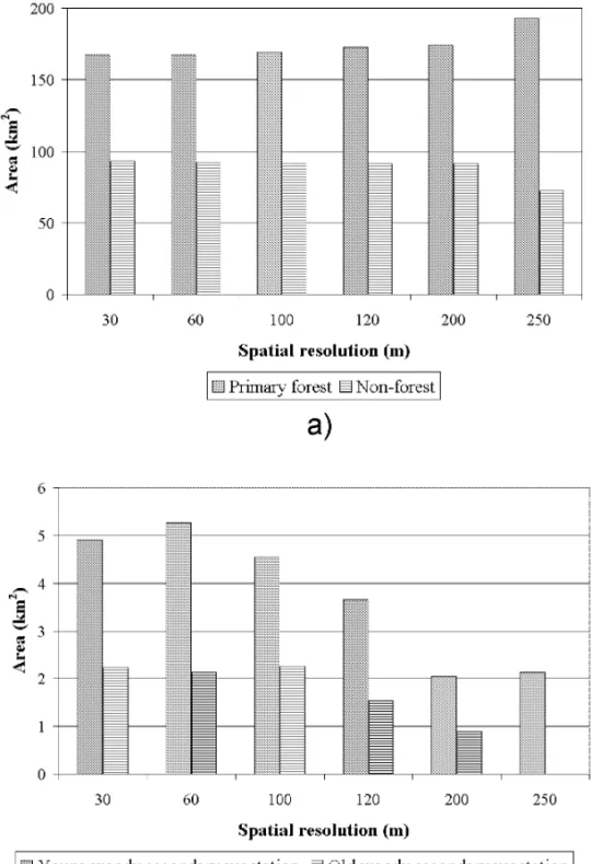 Fig. 3 – Area estimates for forest and non-forest in (a) and for old and young woody secondary vegetation in (b), as a function of the simulated spatial resolution values.