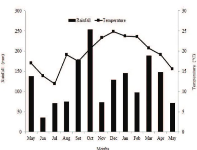 Figure 1. Cumulative rainfall and average monthly air  temperature between May 2012 and May 2013, Santa Maria,  Brazil.