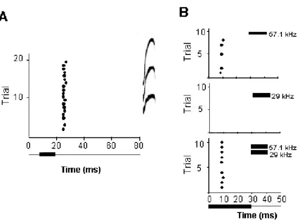 Fig. 1 – Responses of a single neuron in the IC to a communication call and tone stimuli