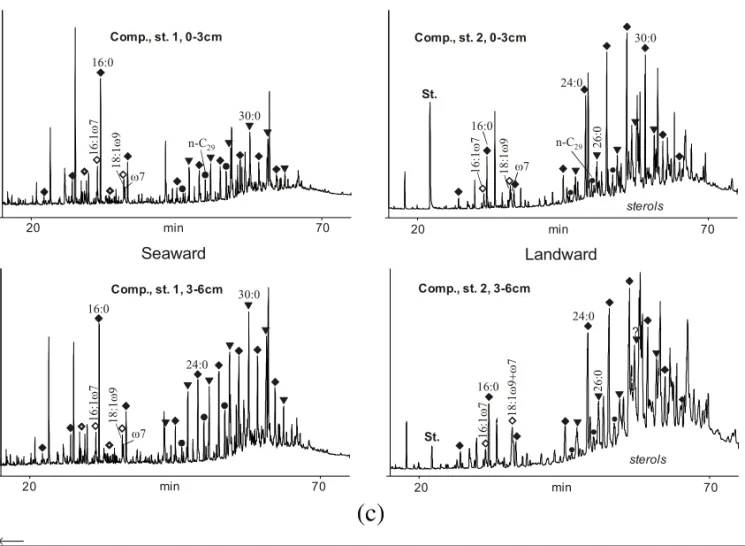Fig. 3 – a) GC-FID trace of Imboacica Lagoon sediment total extract, derivatized with BSTFA