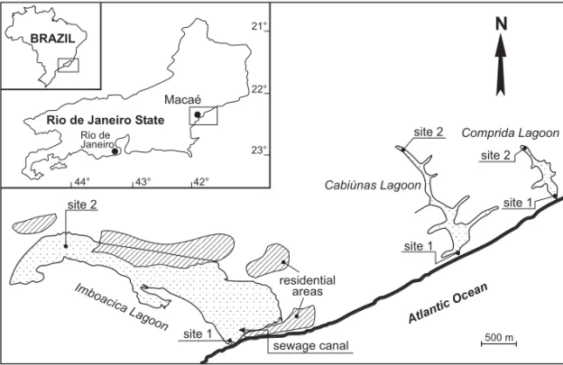 Fig. 1 – Location of study area and indication of sampling sites in three investigated coastal lagoons.