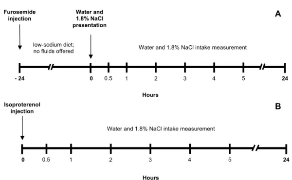 Fig. 1 – Schematic representation of the experimental protocols used in the evaluation of 1.8%
