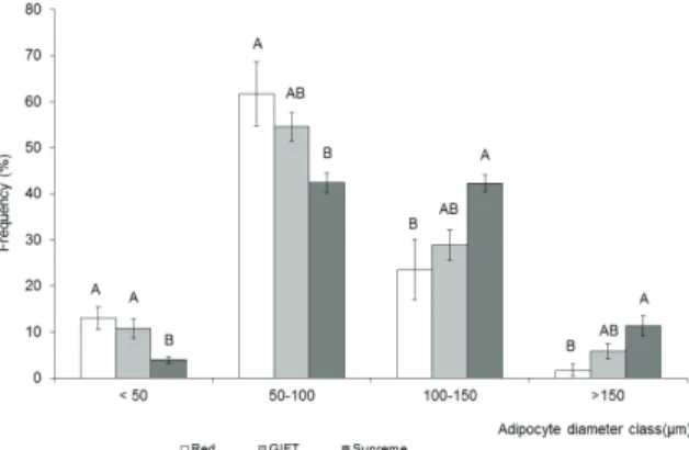 Figure 3 shows the frequency distribution in  diameter classes of ventral subcutaneous adipocytes  of tilapia cultured at 22ºC