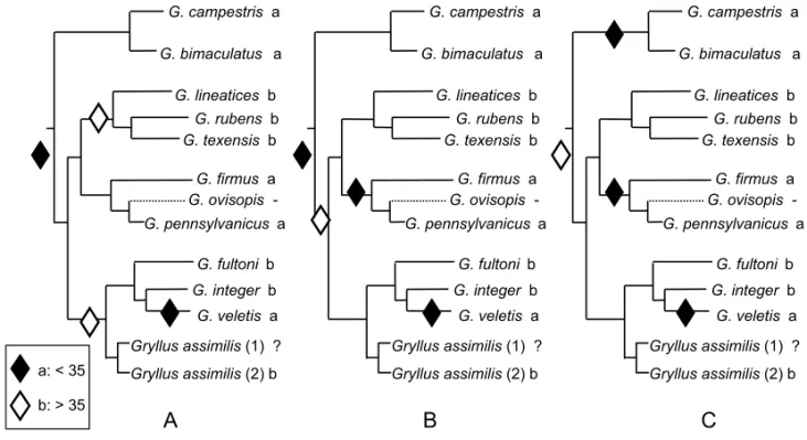 Fig. 4 – Evolution of pulse rate in Gryllus song. (A, B, C), alternative equi-parsimonious scenarios