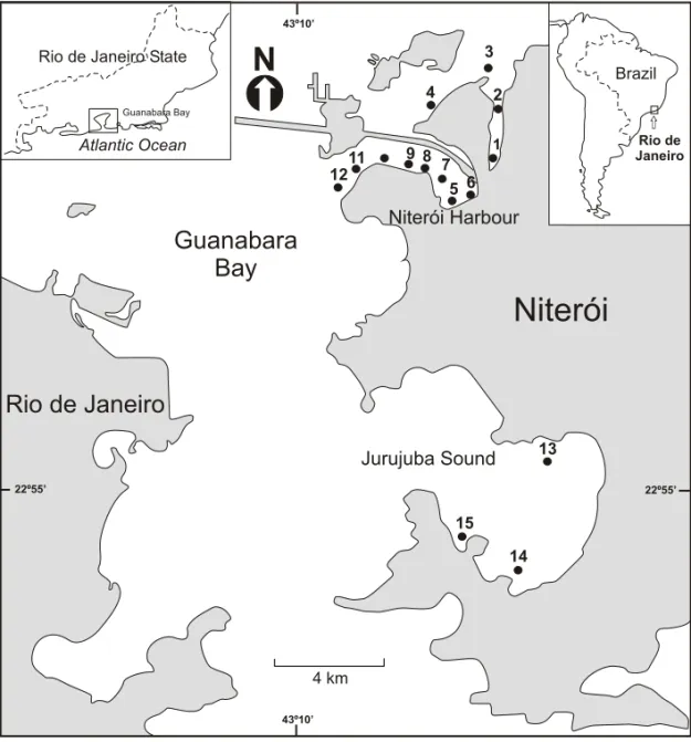 Fig. 1 – Location of the study area and sample stations collected in Niterói, Guanabara Bay, in June 2000.