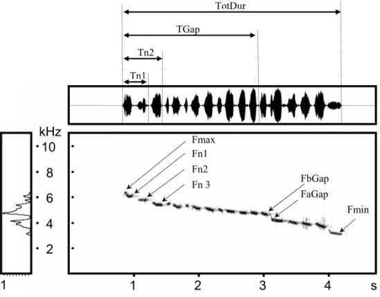 Fig. 1 – Typical territorial song of Basileuterus leucoblepharus and measures done in the temporal and frequency domains (abbreviations: see text).