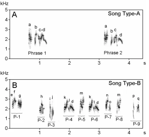 Fig. 1 – Sonograms of song in the Red-vented Bulbul. (A) Song Type-A composed of phrases with minor structural variations