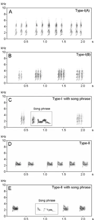 Fig. 2 – Sonograms of different types of alarm calls in the Red-vented Bulbul. A and B: alarm call Type-I with different temporal organizations, C: alarm calls (Type I) with song phrase, D: alarm call Type-II, and E: alarm call Type-II with song phrase.