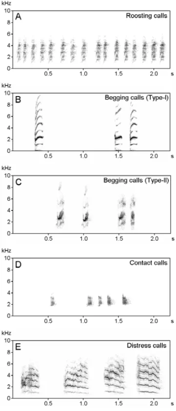Fig. 3 – Sonograms of different types of calls emitted by the Red-vented Bulbul. A: roosting calls, B: Type-I begging calls, C:
