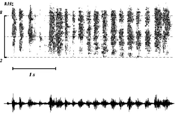Fig. 1 – Sonogram and oscillogram of an alarm call (AL) of a Budgerigar Melopsittacus undulatus, used in the study.