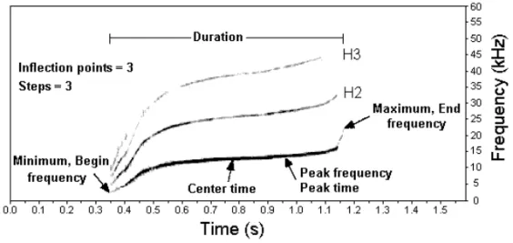 Fig. 1 – Spinner Dolphin whistle showing the fundamental frequency or whistle contour and two harmonics (H2 and H3)