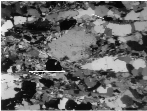 Fig. 10 – Photomicrograph (transmitted light, crossed nicols, magnification 10.5×).