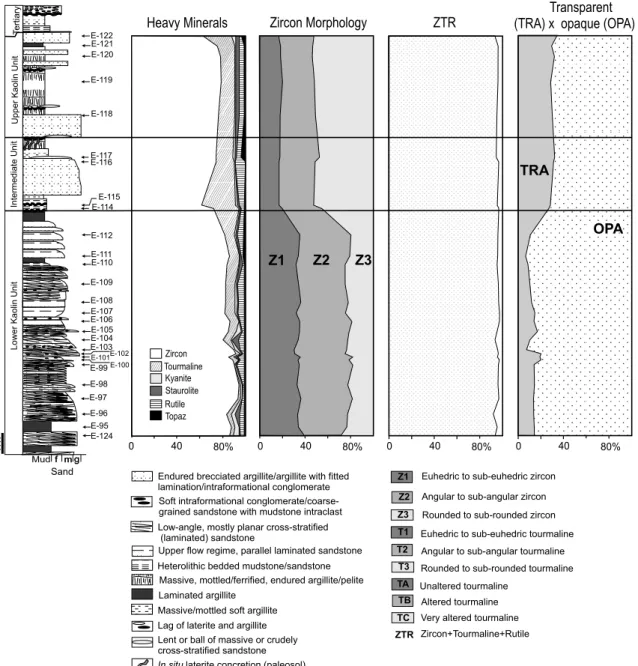 Fig. 3 – Measured lithostratigraphic profile 1 of the IRCC quarry, with frequencies of main heavy minerals and of their textures.