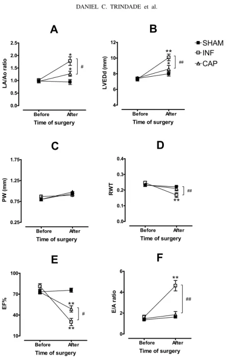 Fig. 1 – Echocardiographic parameters recorded from SHAM, INF and CAP just before and 21 days after surgery