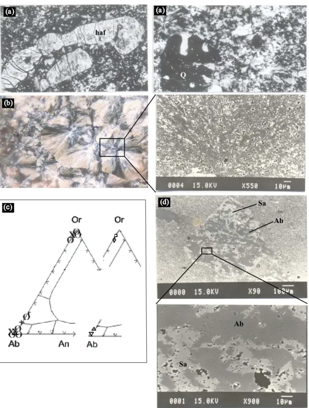 Fig. 7 – Rhyolite flows: (a) Photomicrography of heterogeneous alkali-feldspar (haf) and quartz (Q) phenocrysts with gulfs of corrosion and conchoidal fractures (optical microscope PL, 40 x); (b) Photomicrography of spherulites (optical microscope PPL) wit