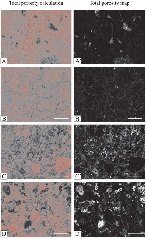 Fig. 5 – In the image generated by the Autoradio software during total porosity calculation (left, A-D), small red points correspond to near null porosity pixels that are not computed