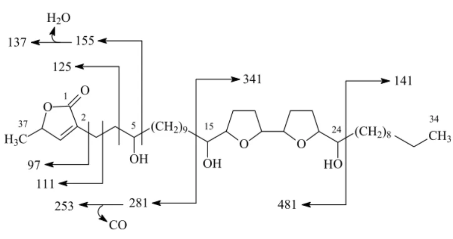 Fig. 1 – Mass spectral fragmentation of 1.