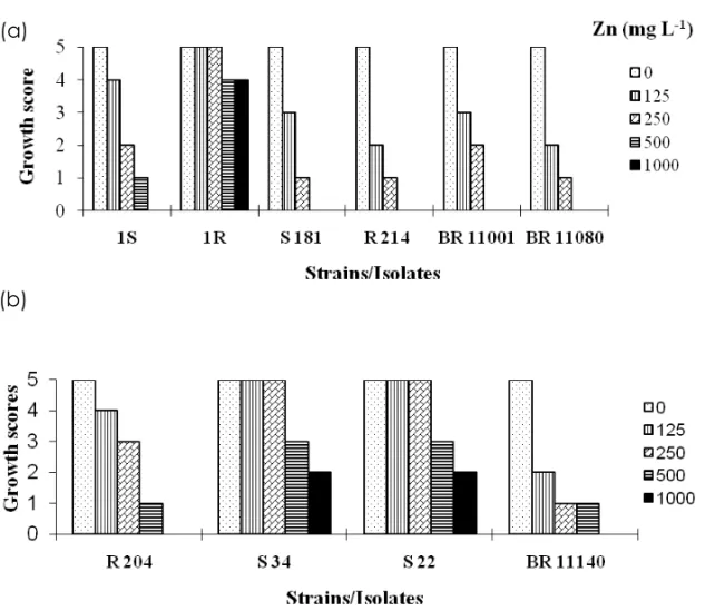 Fig. 1 – Growth scores of associative diazotrophic bacteria isolated from heavy metal contaminated area and type strains in potato dextrose agar medium supplemented with different concentrations of Zn 2+ (mg L -1 ) ten days after inoculation