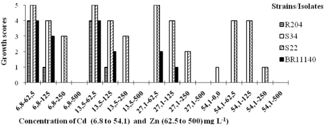 Fig. 3 – Growth scores of Azospirillum amazonense type strain (BR11140 T ) and isolates (R204, S34, S22) from heavy metal contaminated area in potato dextrose agar medium supplemented with different concentrations of Cd 2+ + Zn 2+ (mg L -1 ) ten days after