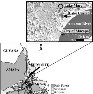 Fig. 1 – Map of the study area, showing the location of Lakes Curiaú and Márcio (the study lake), the City of Macapá, and the Amazon River.