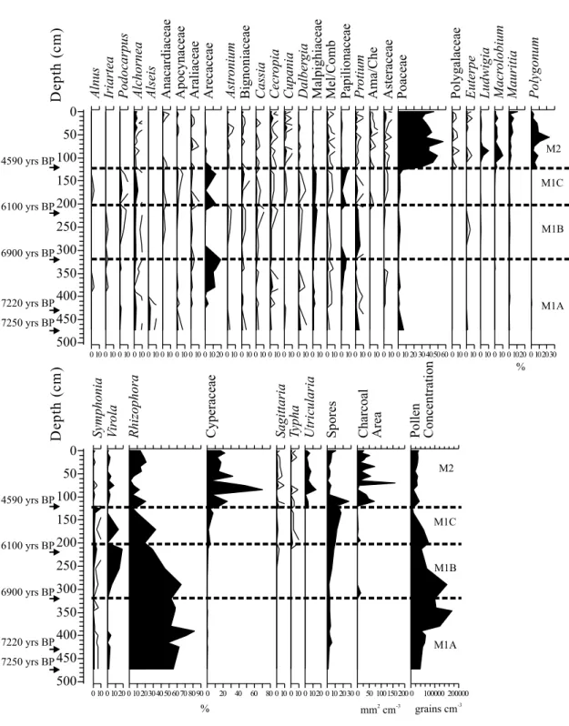 Fig. 3 – Pollen percentage diagram of Lake Márcio, Amapá (Brazil), showing the most representative taxa, including Andean taxa, area of charcoal particles (mm 2 cm –3 of sediment), pollen concentration (grains cm –3 of sediment), and radiocarbon dates (cal