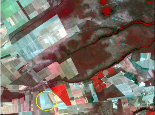 Fig. 1 – CCD-2 (green), CCD-3 (blue) and CCD-4 (red) color composition from the calibration test site