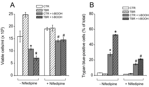 Fig. 4 – t-BOOH-induced death of CTR and TBR lymphocytes is prevented by nifedipine. (A) Growth of nifedipine-treated CTR (white and gray bars) and TBR lymphocytes (white hatched and gray hatched bars) incubated for 4 h in the absence of 500µM t-BOOH (whit