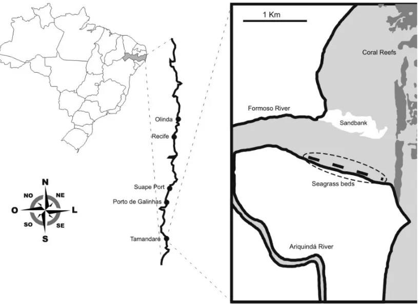 Fig. 1 – Map of the study area with the associated ecosystems (sand banks, seagrass beds and coral reefs).